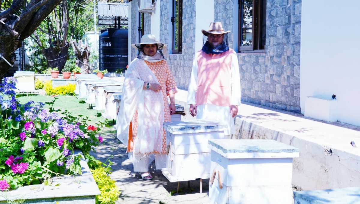 मुख्यमंत्री आवास परिसर में शहद निष्कासन का कार्य किया गया, सीएम ने किया निरीक्षण…