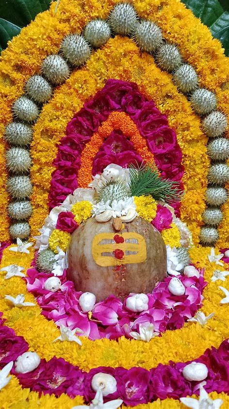 सावन के दूसरे सोमवार को शिवालयों में जलाभिषेक, मंत्रोच्चार और पूजा-अर्चना के साथ गूंजे भोलेनाथ के जयकारे